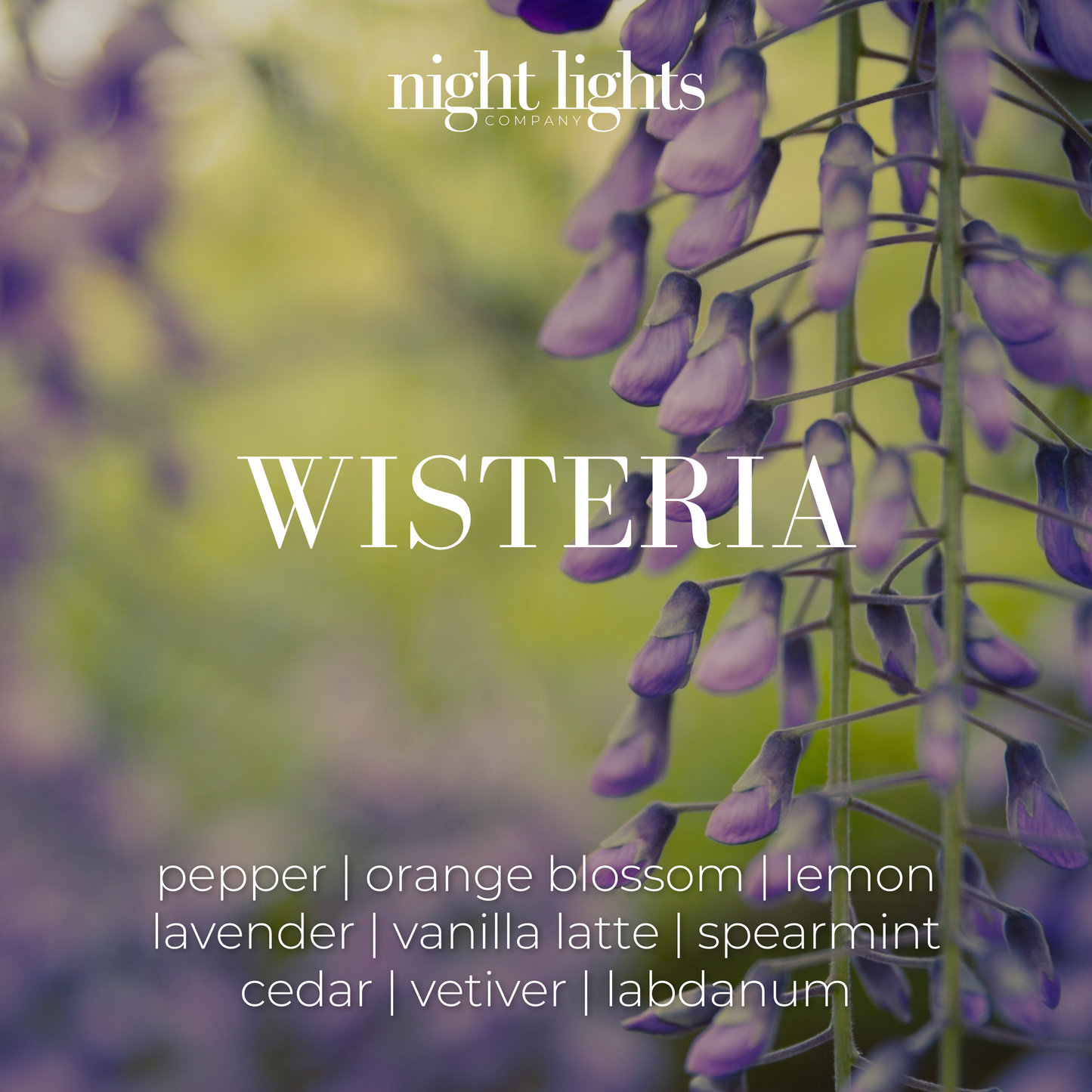 WISTERIA